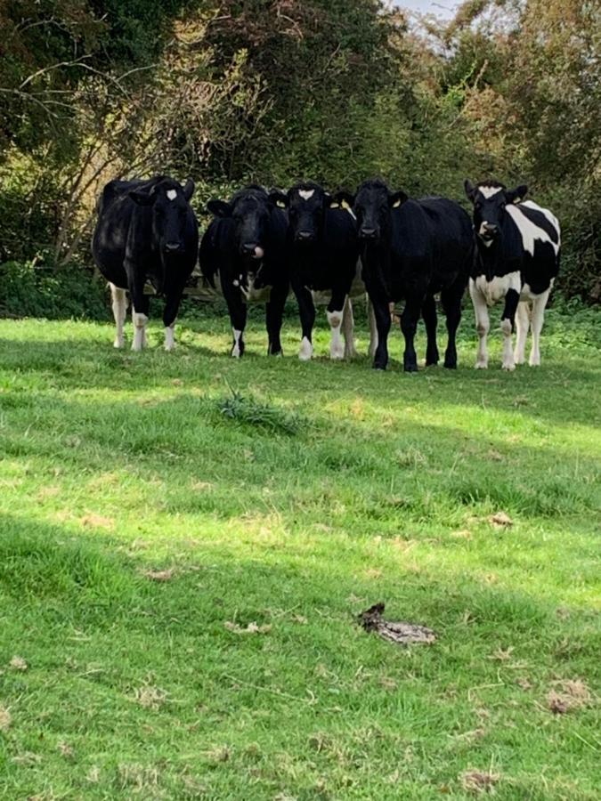 Church Farm, Legbourne Louth Eksteriør billede